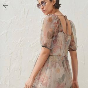 H&M Puff Sleeved Mesh Dress